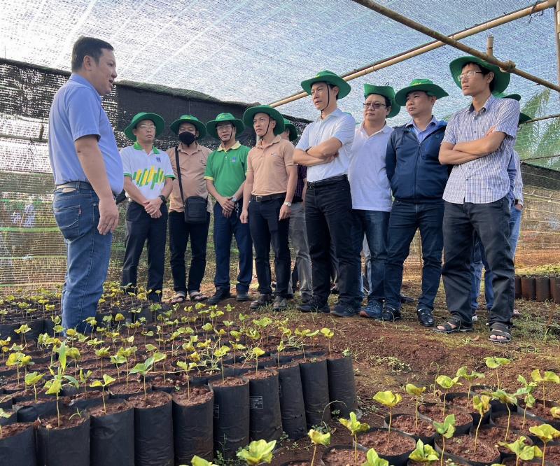 Bà con nông dân bón phân Ure Phú Mỹ cho cây trồng tăng năng suất